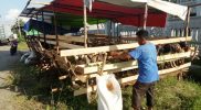 Penjual kambing untuk Qurban di Jalan Ampera Kota Pontianak. foto: R. Rido Ibnu Syahrie