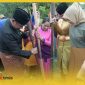 Wakil Bupati Sambas Fahrur Rofi, Prabasa Anantatur dan Erlita Rubaeti bersama-sama menumbuk padi untuk membuat amping pada Festival Piste Amping, Minggu (19/2/2023) di Desa Jirak 