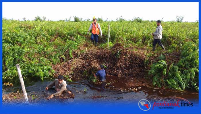 Kelompok Tani KPH Desa Tri Mandayan, Desa Teluk Keramat, Kabupaten Sambas membuat kanal untuk pencegahan kebakaran hutan di lahan gambut