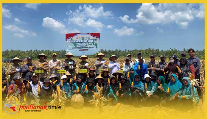 Bupati Sambas bersama jajaran polres Sambas dan masyarakat panen raya Jagung Serentak kuartal III di Desa Simpang Empat, Kecamatan Tangaran, Sabtu (27/9/2025)