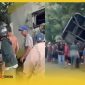 Foto kolase beberapa saat setelah Bus Damri terguling di tikungan Penyeladi Kabupaten Sanggau.