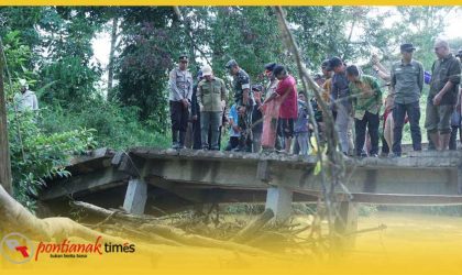 Bupati Sambas H Satono meninjau langsung jembatan ambruk di Dusun Elok Asam, Desa Tebuah Elok, Kecamatan Subah, Jumat (8/5/2026).
