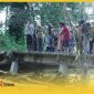 Bupati Sambas H Satono meninjau langsung jembatan ambruk di Dusun Elok Asam, Desa Tebuah Elok, Kecamatan Subah, Jumat (8/5/2026). 