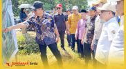 Bupati Sambas H Satono bersama Stafsus Menko Bidang Infrastruktur meninjau lokasi SPAM di Desa Sentalik, Kecamatan Sejangkung.