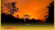 Lahan terbakar, langit memerah. Begini kondisi Karhutla di Desa Sekuduk Kecamatan Sejangkung Kabupaten Sambas, Kalimanta Barat.