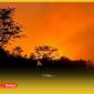 Lahan terbakar, langit memerah. Begini kondisi Karhutla di Desa Sekuduk Kecamatan Sejangkung Kabupaten Sambas, Kalimanta Barat.