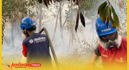 Personel Persyarikatan Muhammadiyah turun langsung memadamkan Kebakaran Htan dan Lahan (Karhutla).